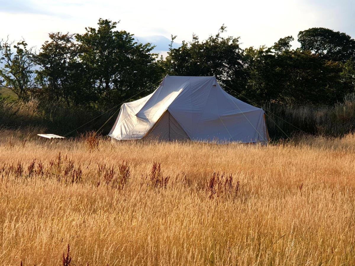 6M Emperor Tent Near Whitby With Log Burner Liverton Екстериор снимка