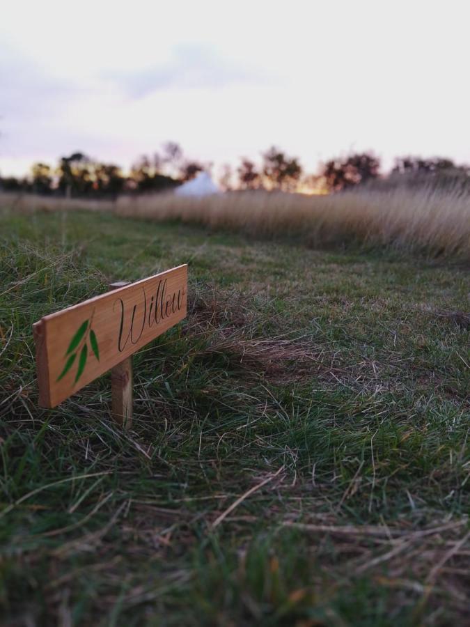 6M Emperor Tent Near Whitby With Log Burner Liverton Екстериор снимка
